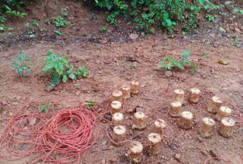 सर्च ऑपरेशन में 18 IED बम बरामद