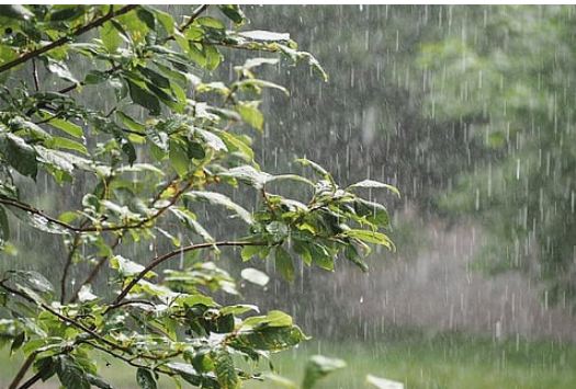 सभी जिलों में नौ तक बारिश की संभावना